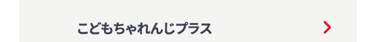 こどもちゃれんじプラス
<