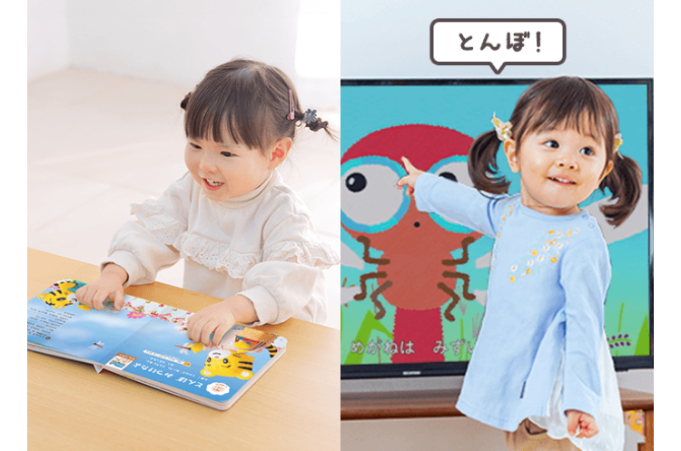 とんぼ!
めがねはみずい